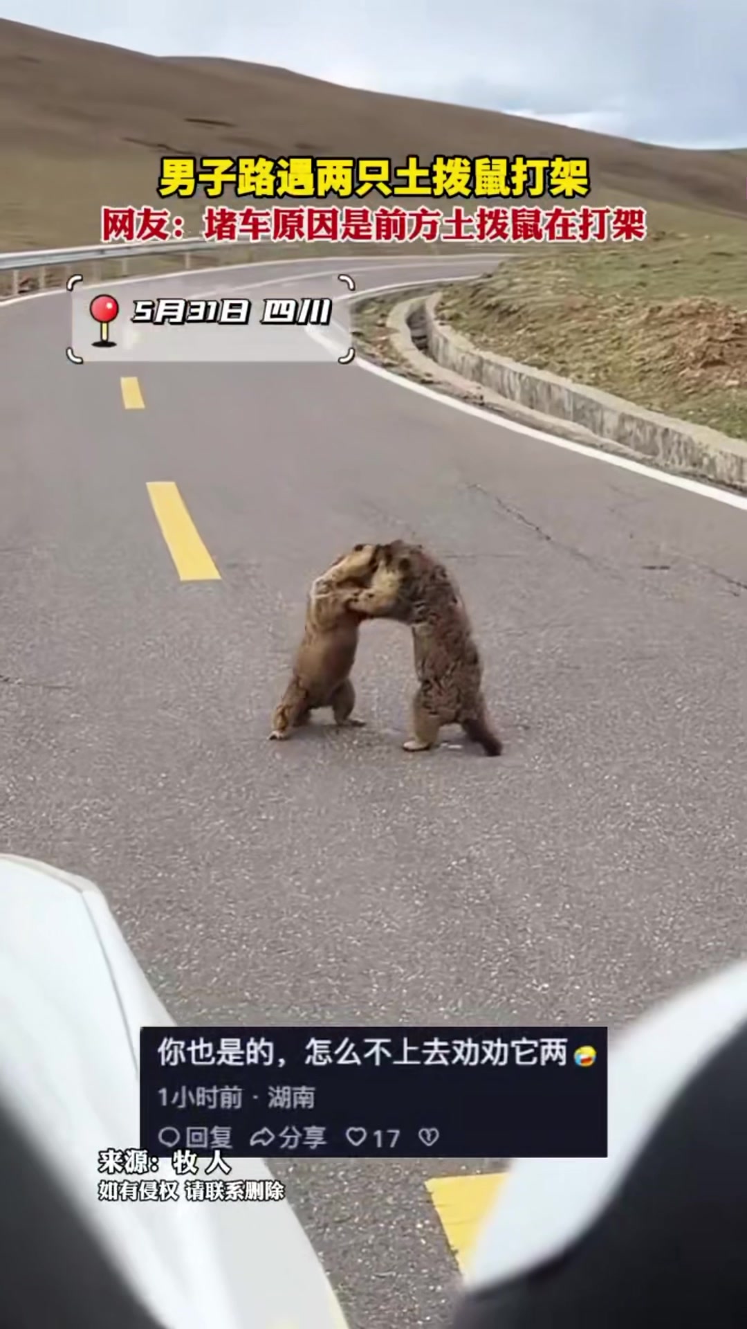 @中国蓝国际