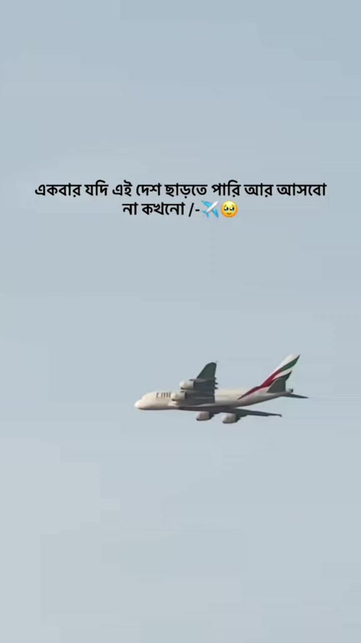 @নতুন জামাই 🤟🤟🇧🇷🇧🇷