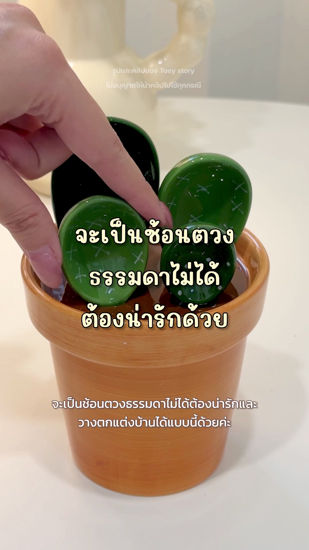 @Toey Story
