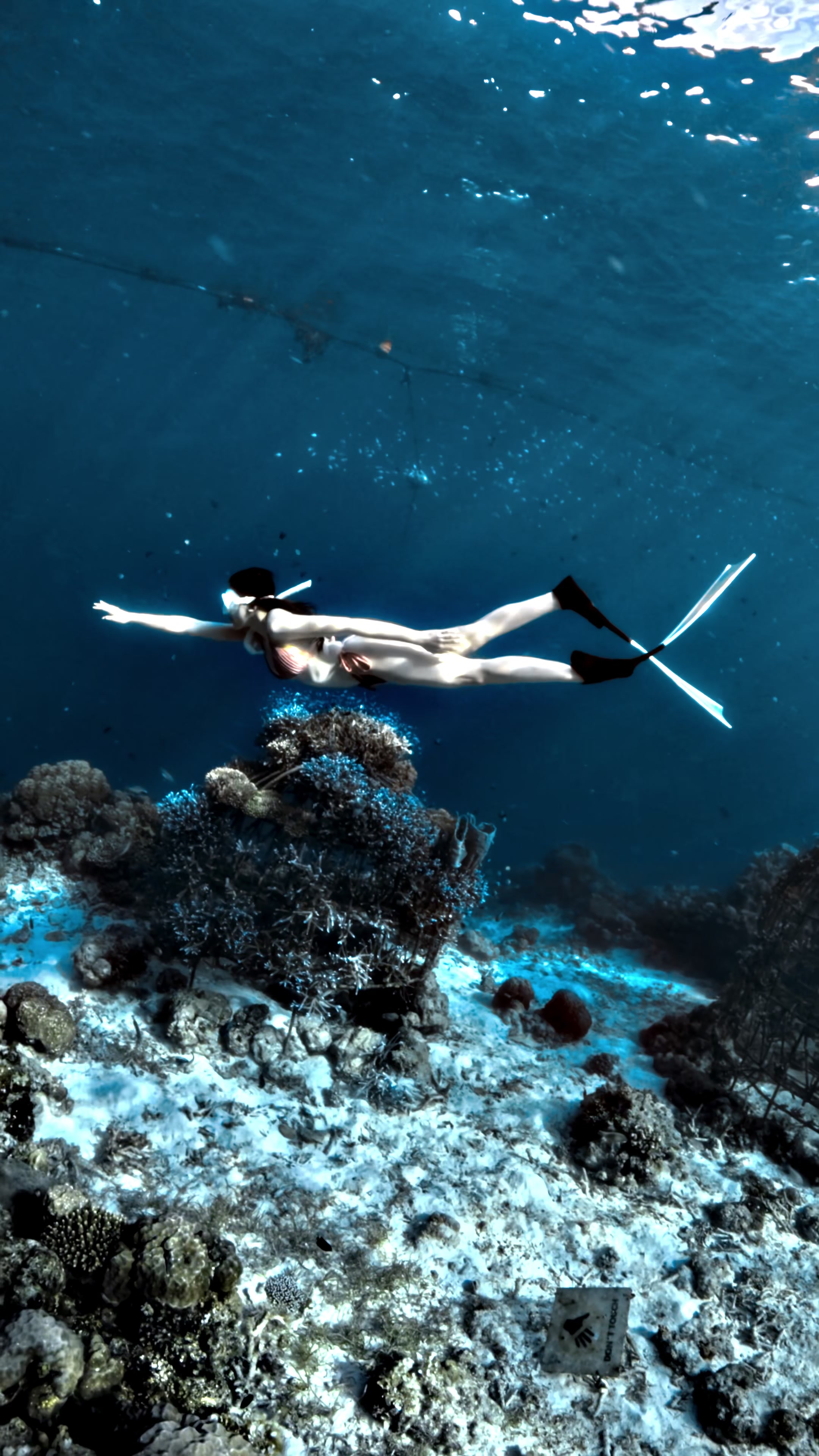 @divewith_eyJ