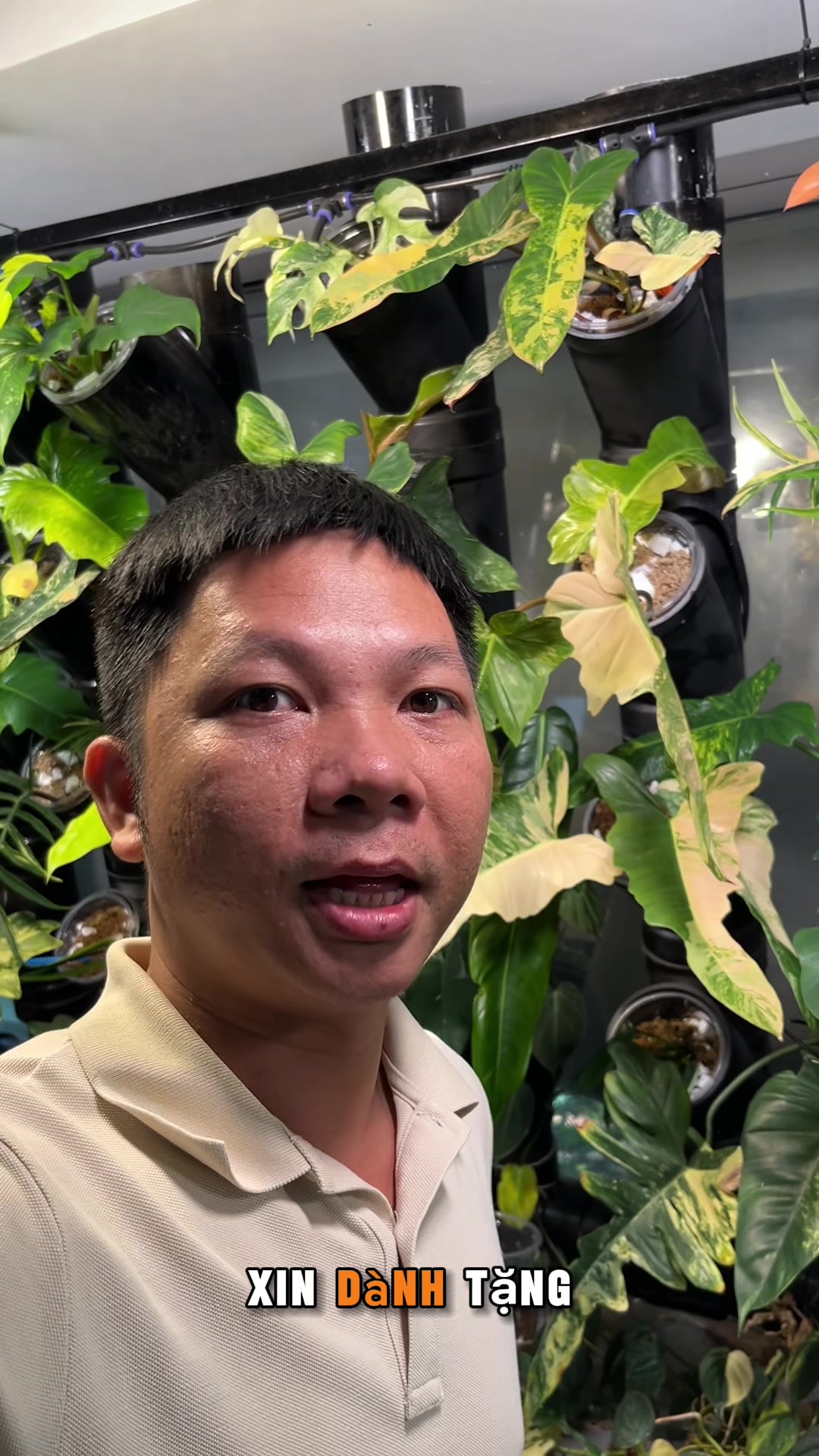 @Huy Kiểng Lá