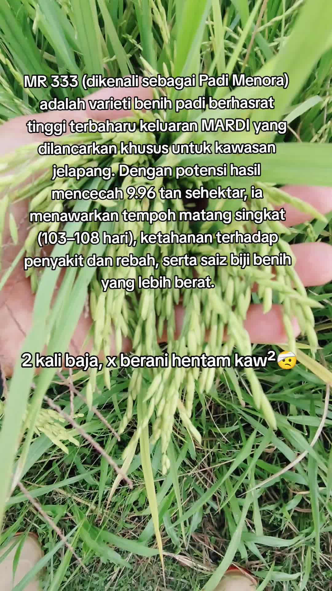 @FARISPAUPANAS