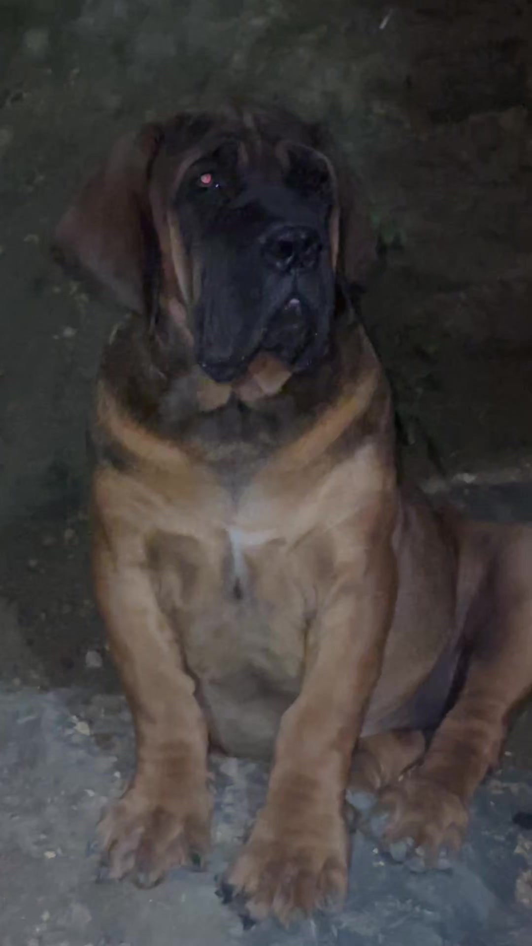 @MaNjoms wamaGovu 🐾