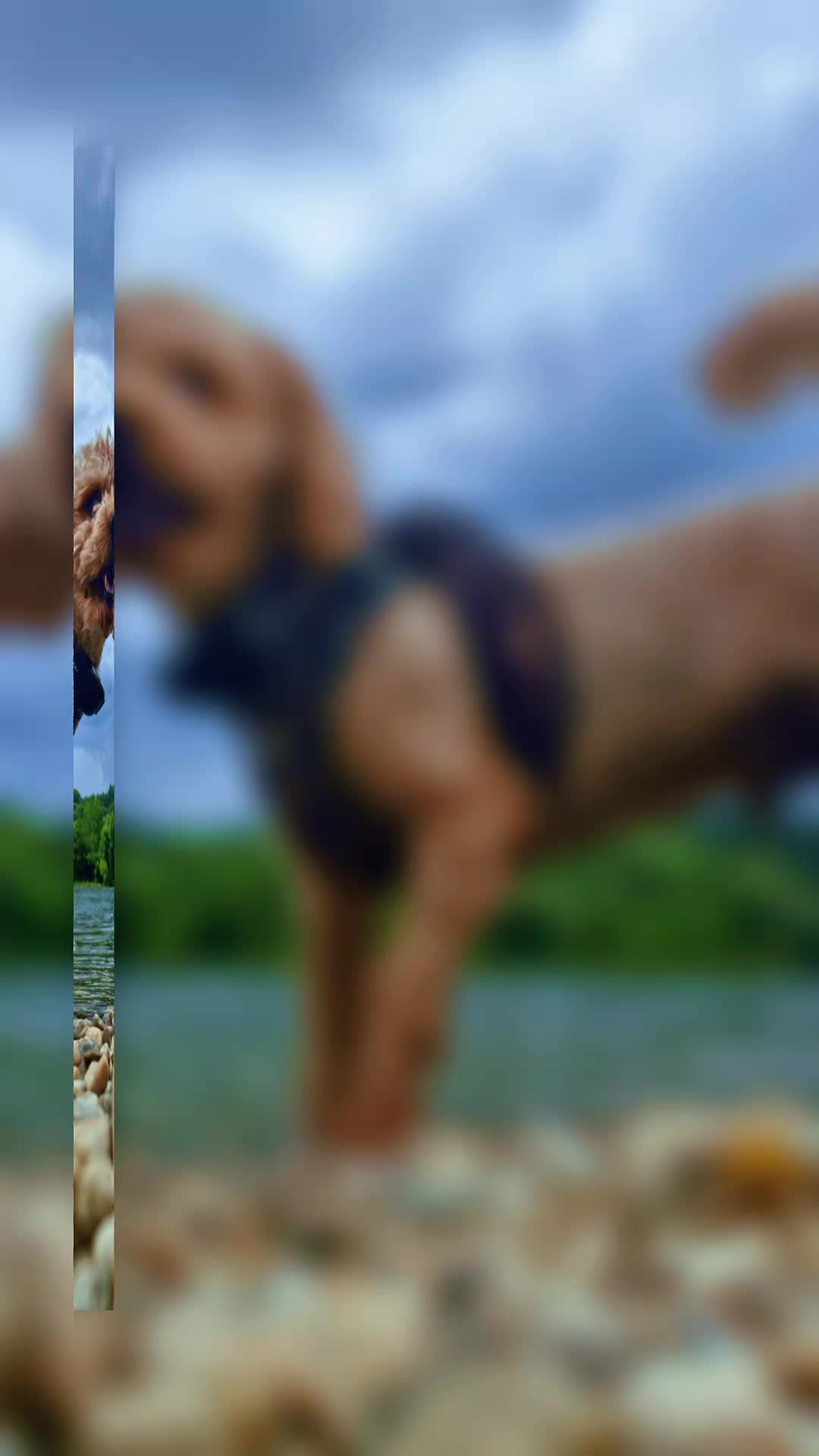 @Teddi