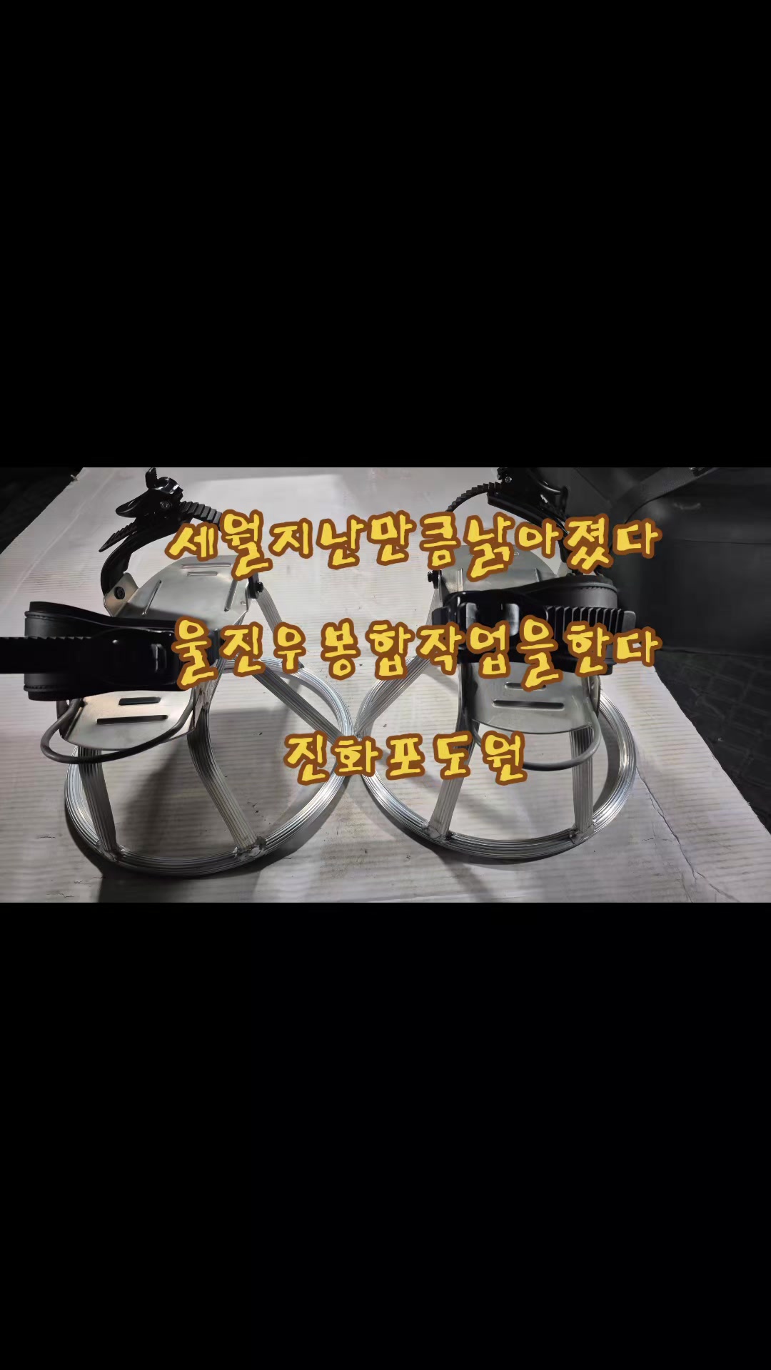 @진화포도원