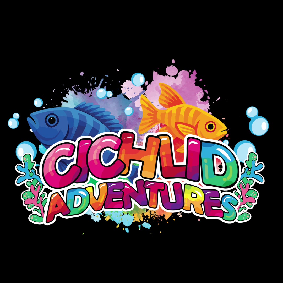 @Cichlid Adventures