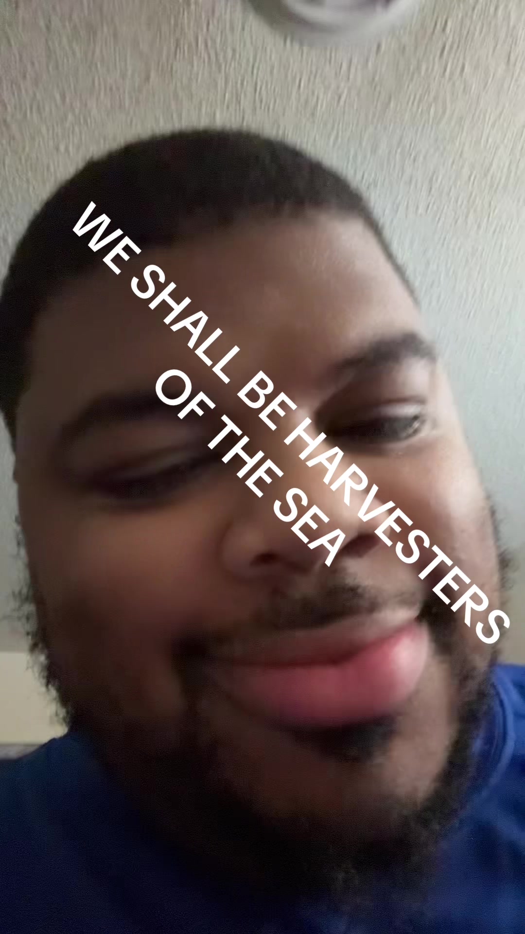 @Bear