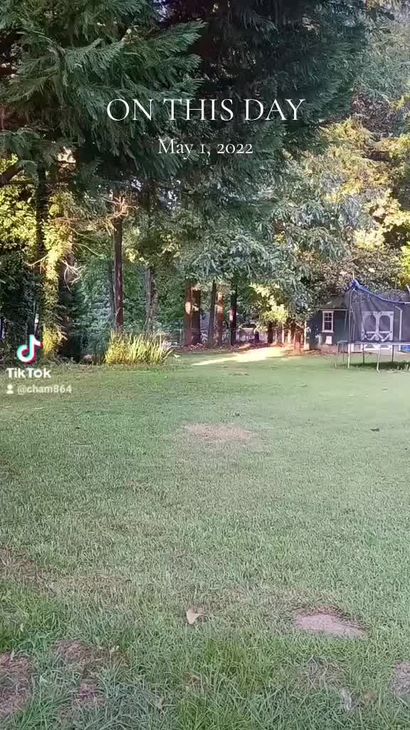 @HAM❌️