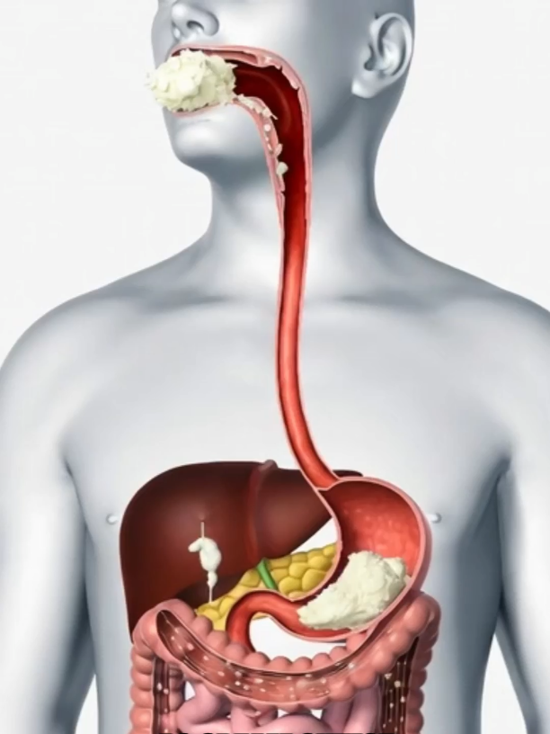 @VitalHealthInsights