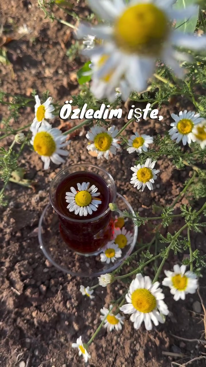 @mavili781