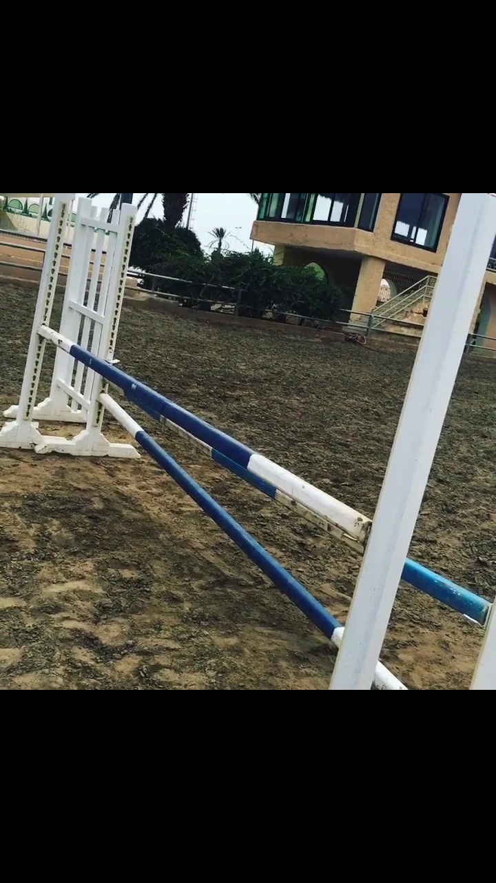 @عبدالله العتيبي .