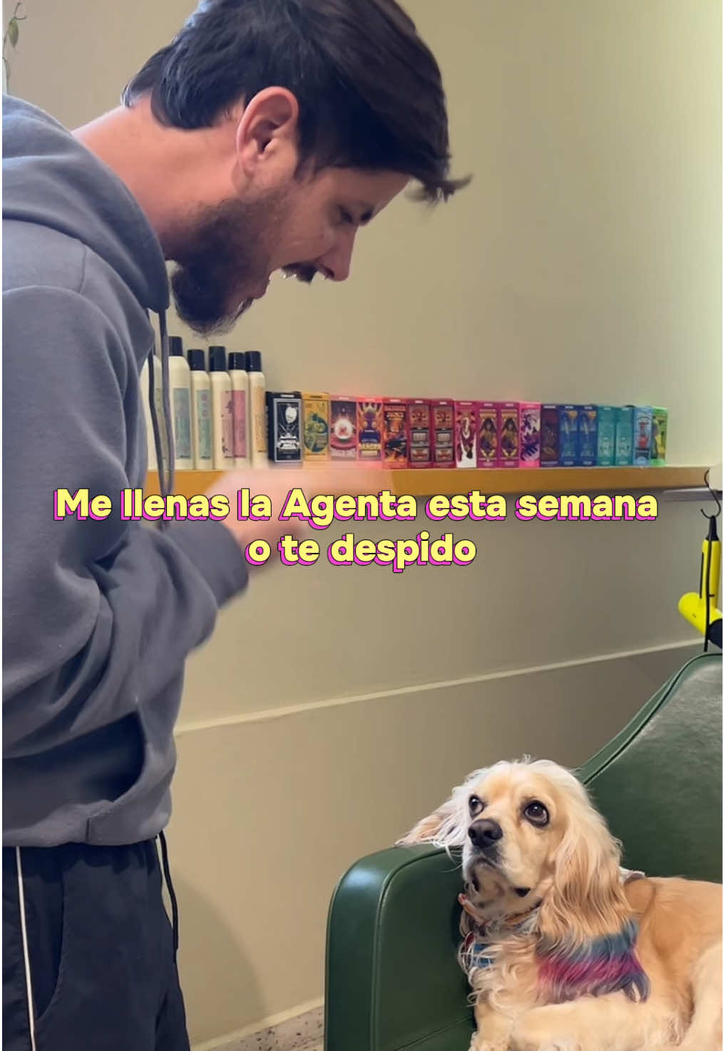 @Xavier Torrado