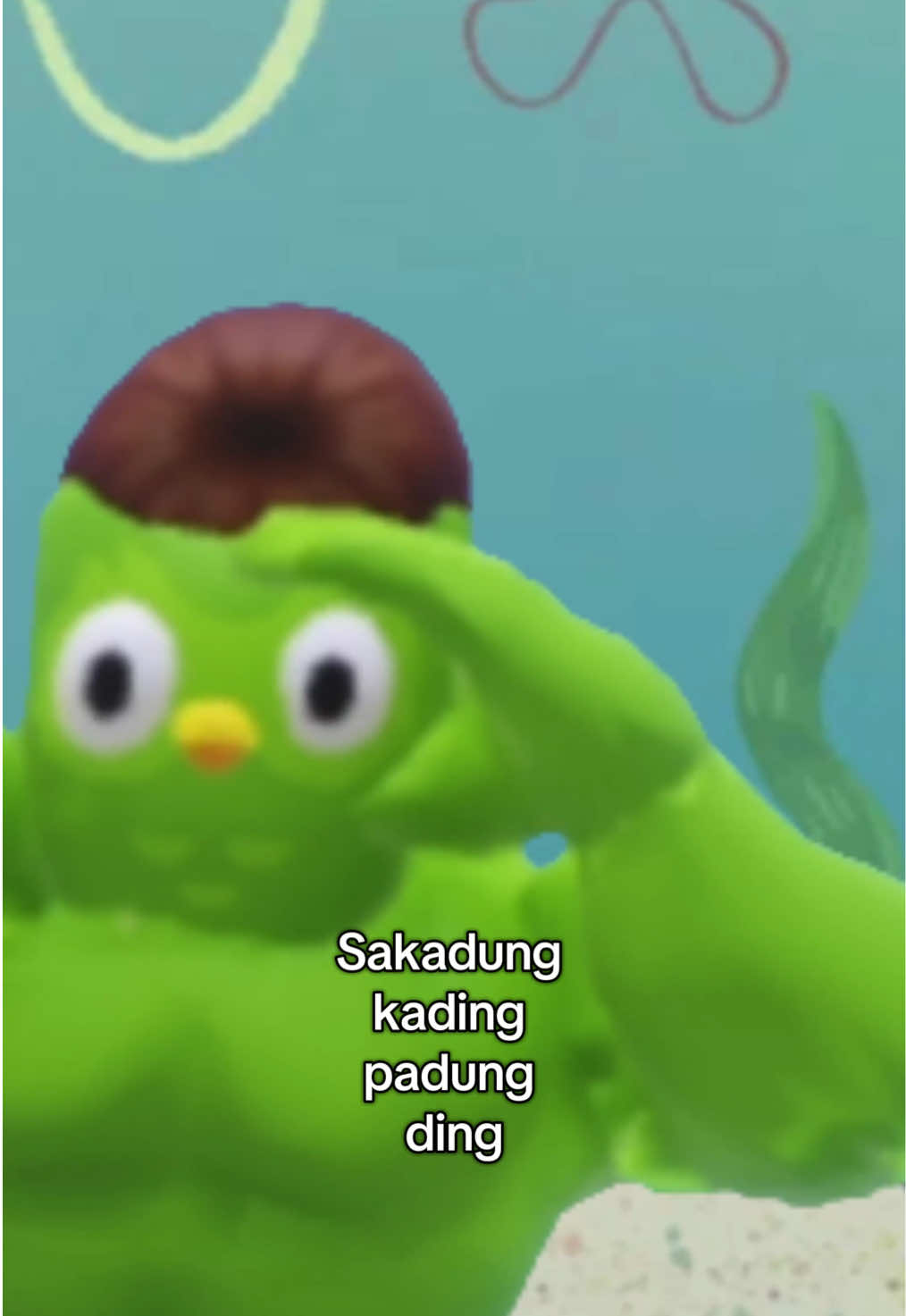 @Duolingo Deutschland