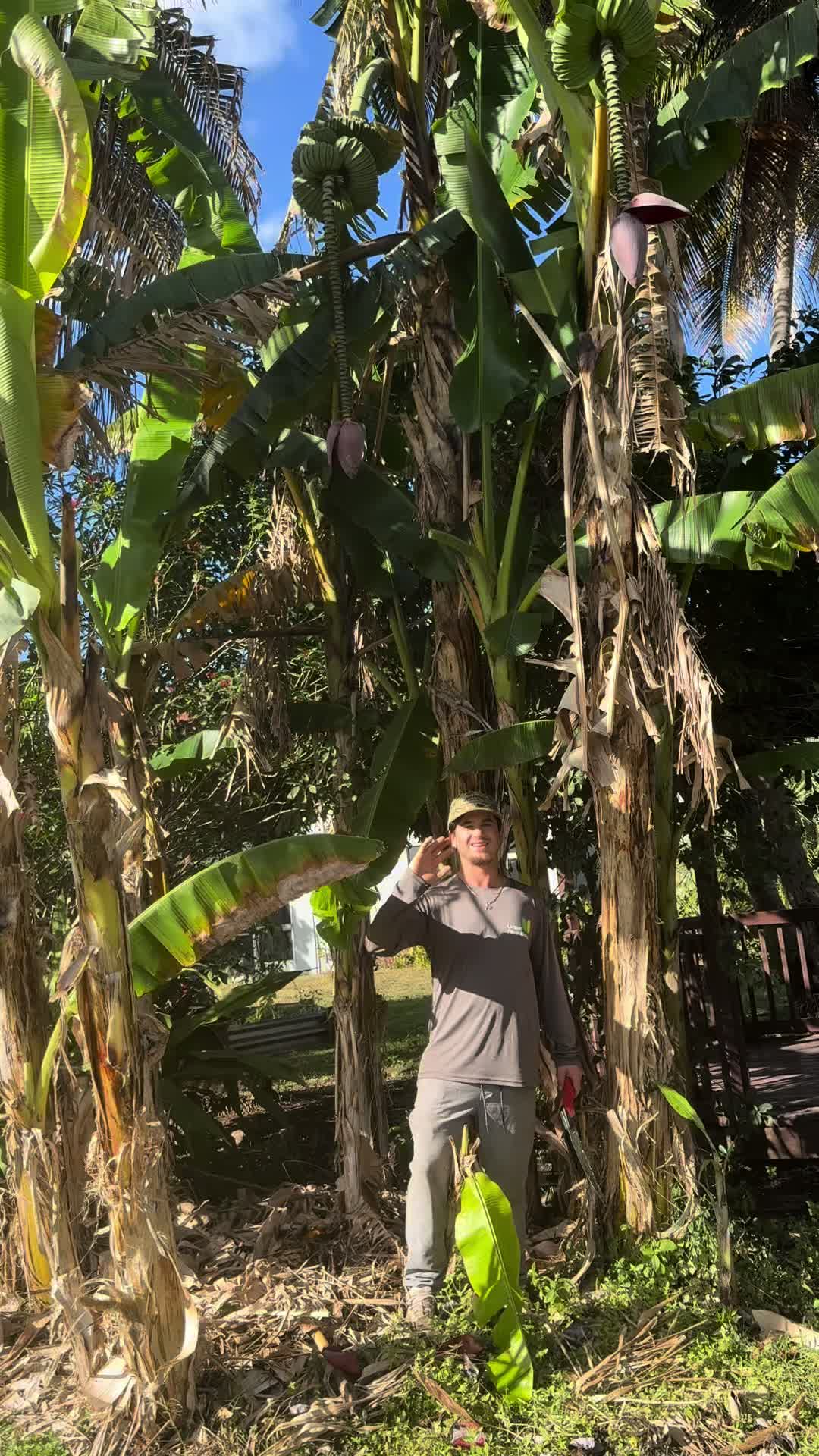 @will.harvest