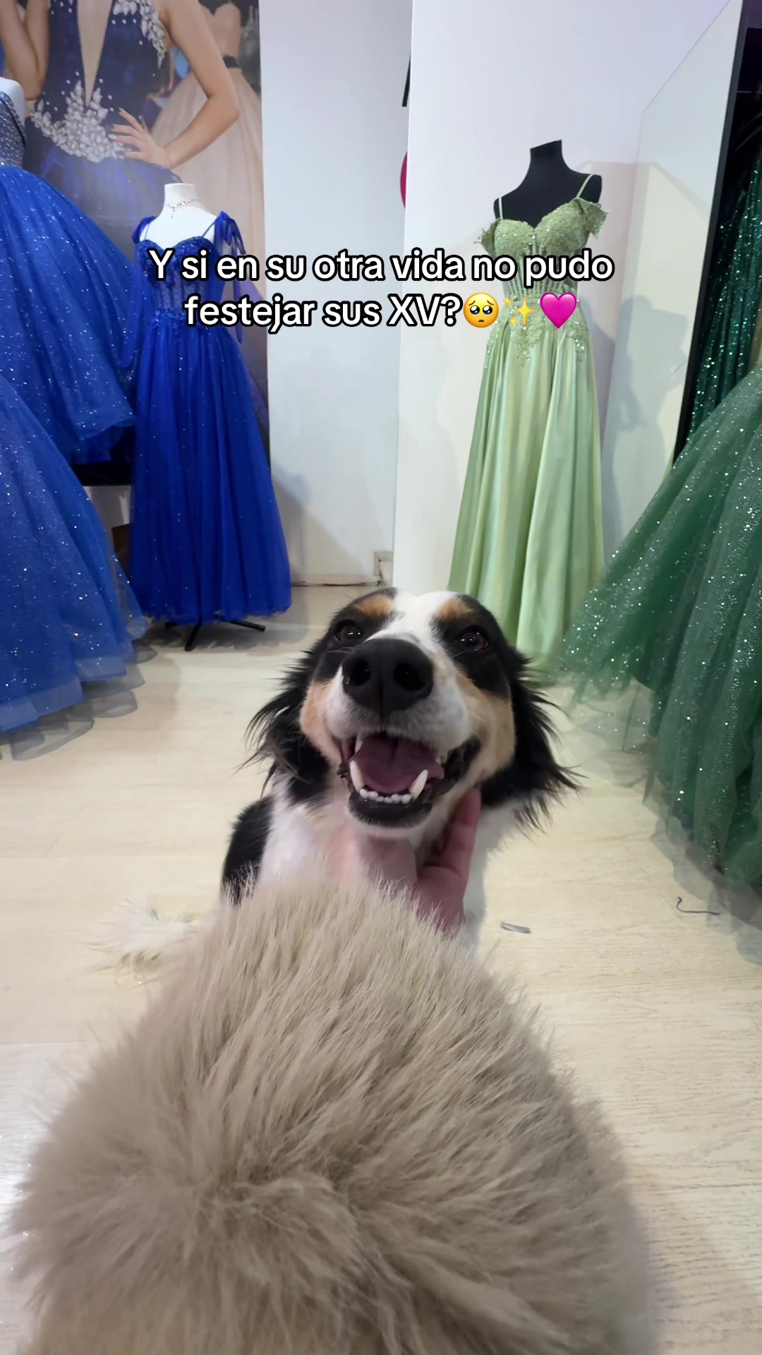 @Mis Fabulosos Quince