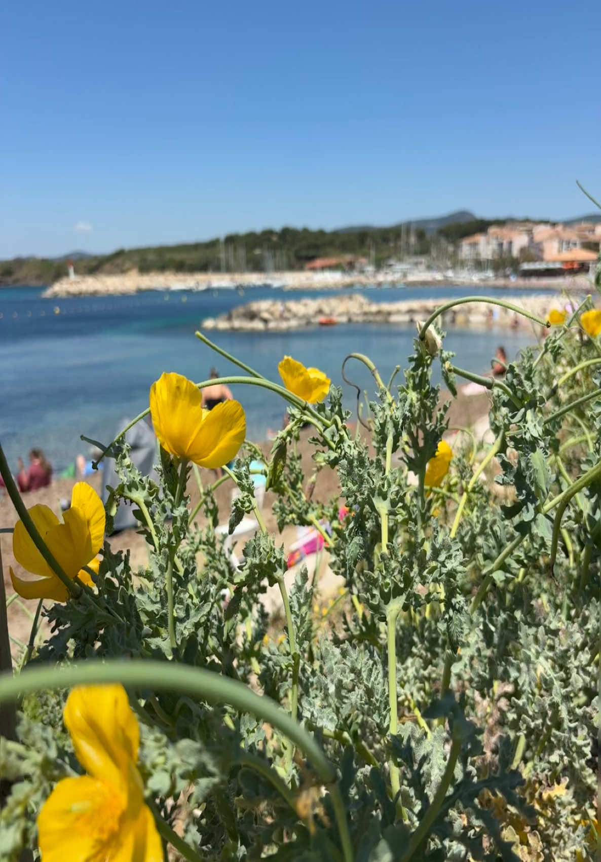 @Silenia Greco
