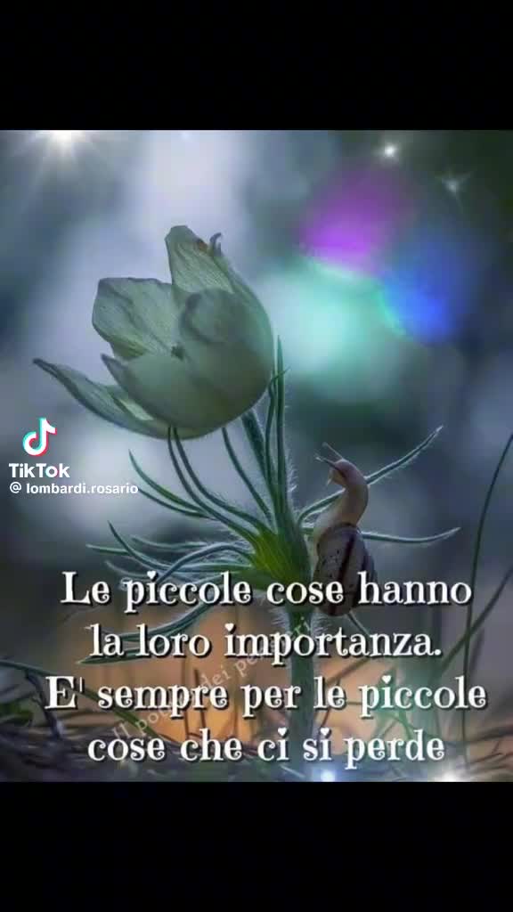 @universale