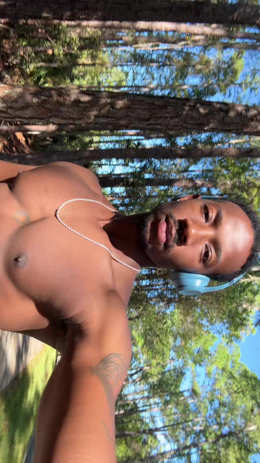 @dandrewilcox