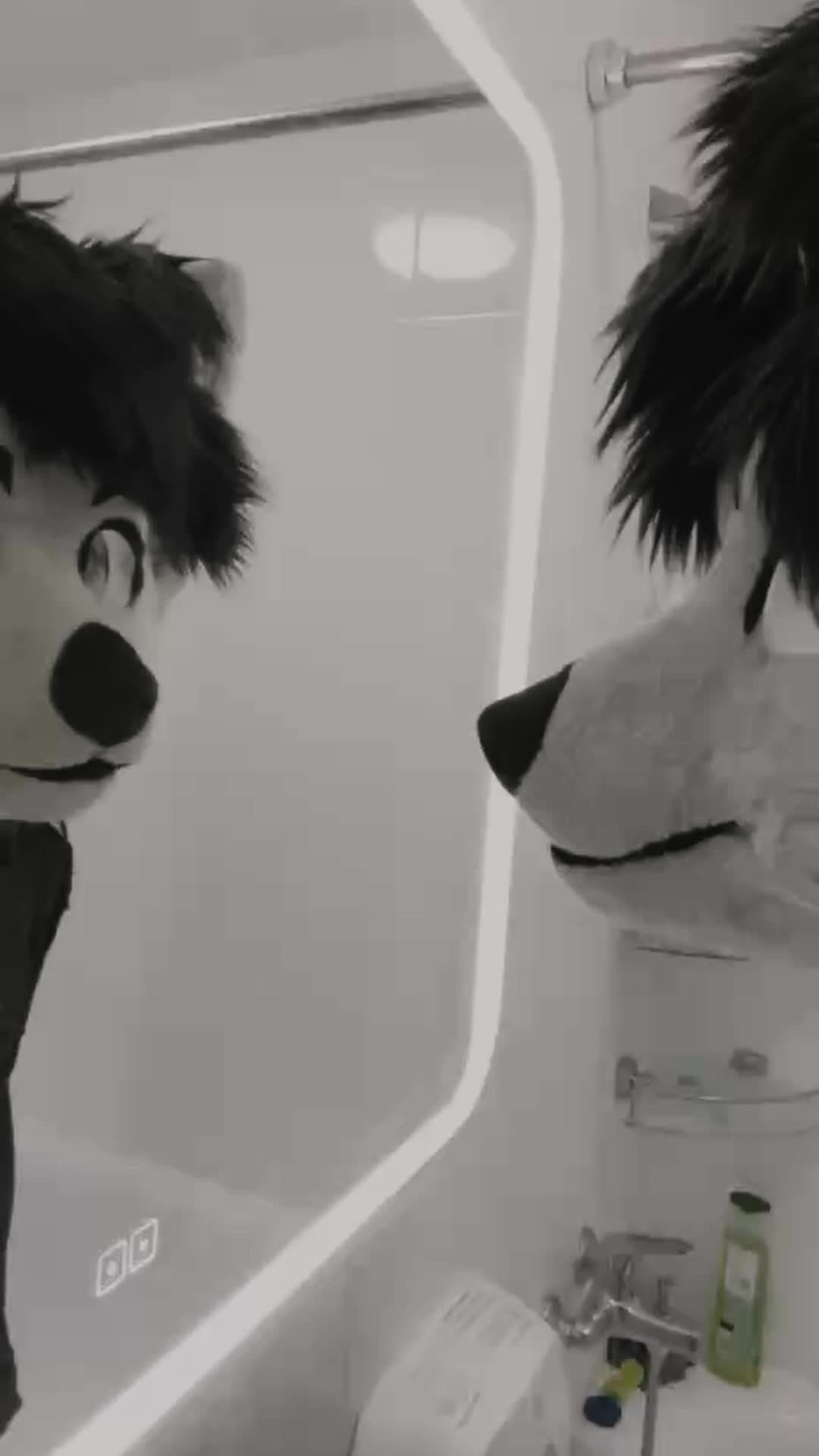 @фыркалко 🐾