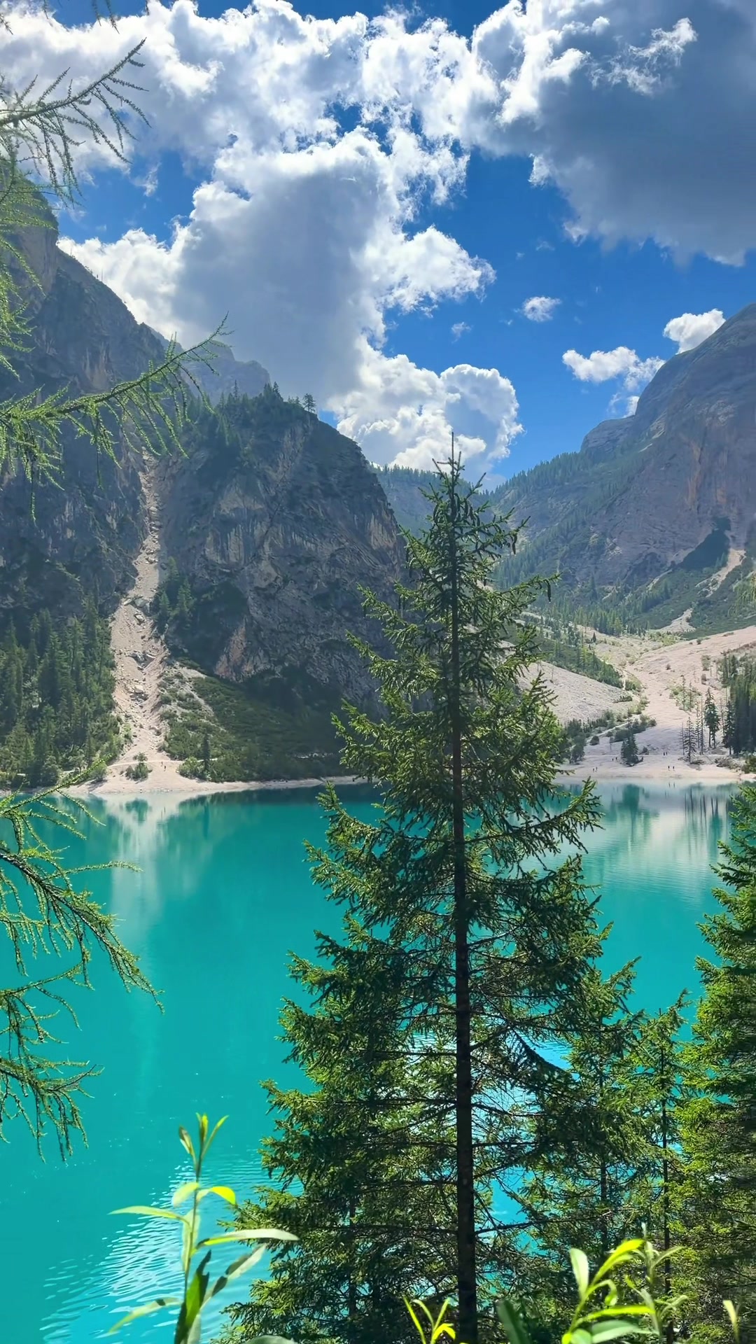 @Zak🏔️