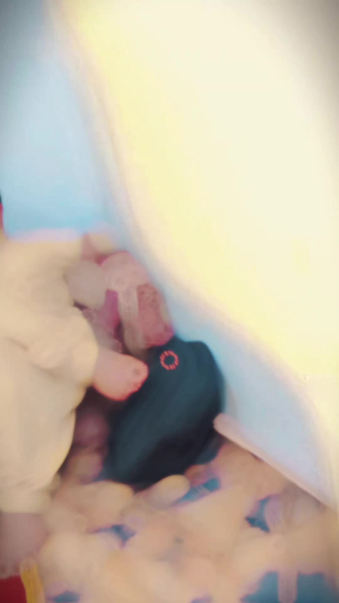 @♡♢ 𝕚Tⓢ ᶻ𝓐вĤĮ ♧👹