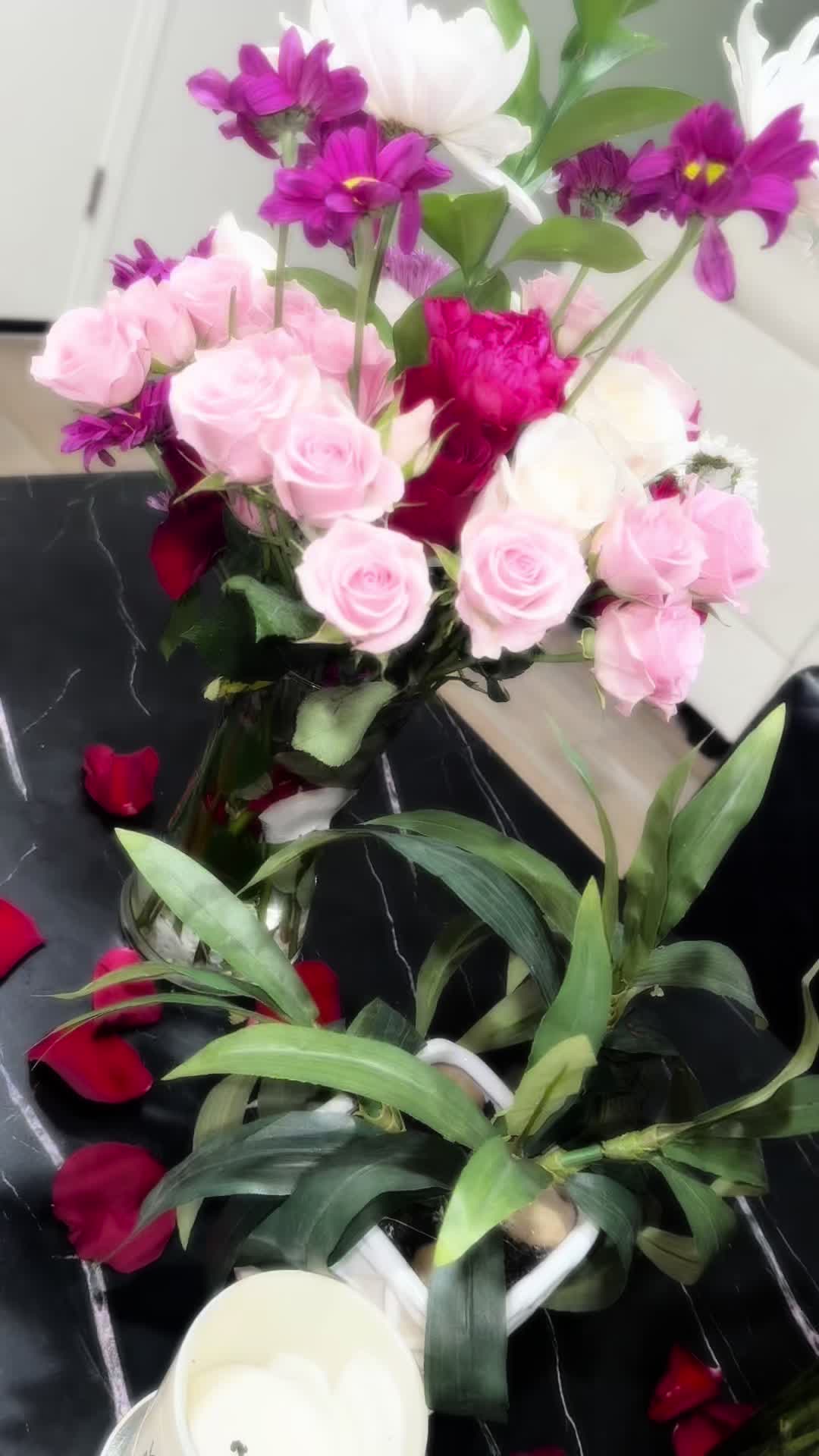 @Shesaurora✨