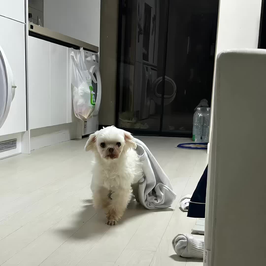 @희팡