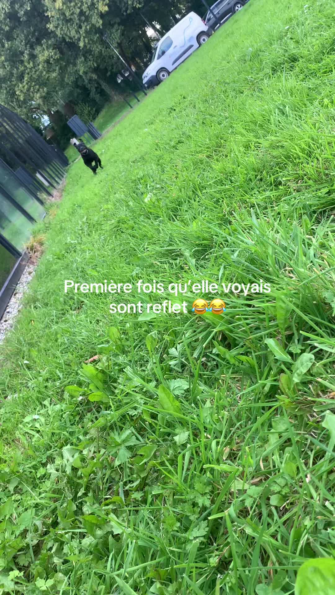 @les.aventures.de.naya