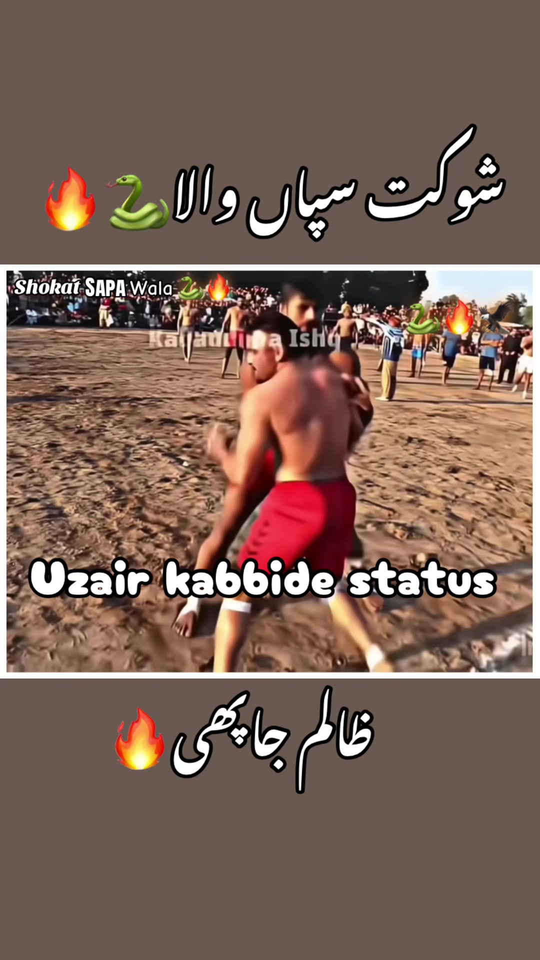 @Shokat sapa wala 🐍🐍
