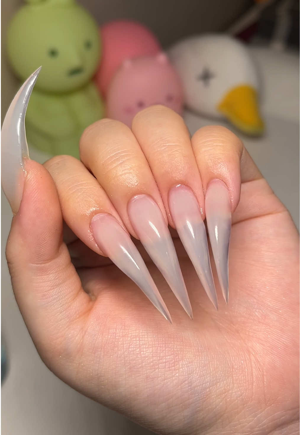 @momo ₍ ᐢ.ˬ.ᐢ₎ ♡