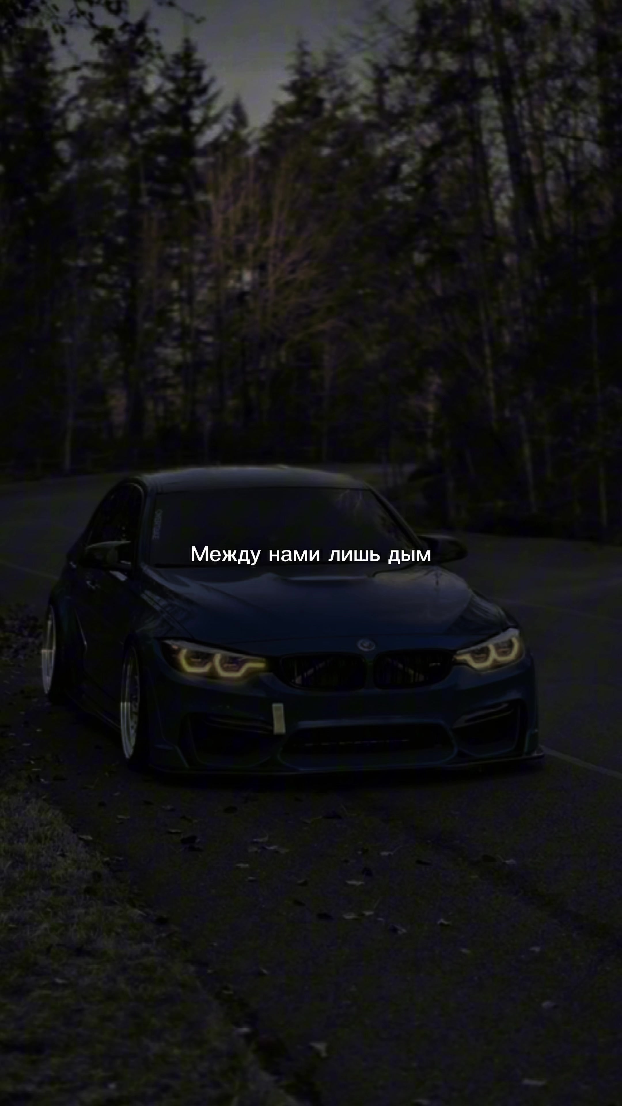 @musik_vtg