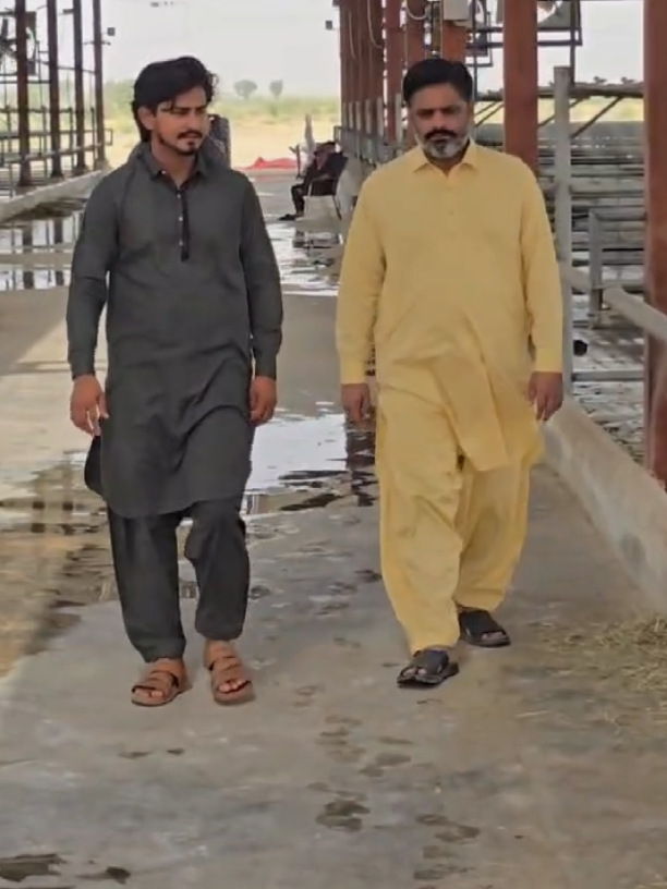 @Waqas Rohi wala