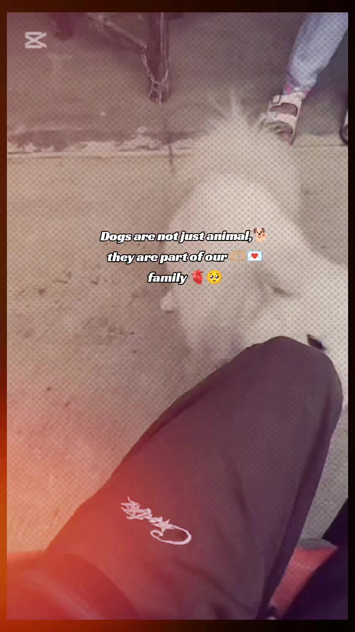 @Simple boy..❤️🩹☺️🥀