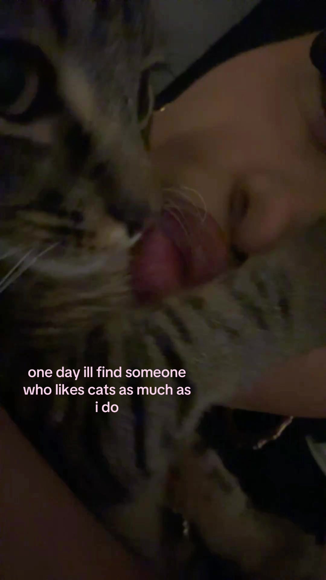 @𝒮
