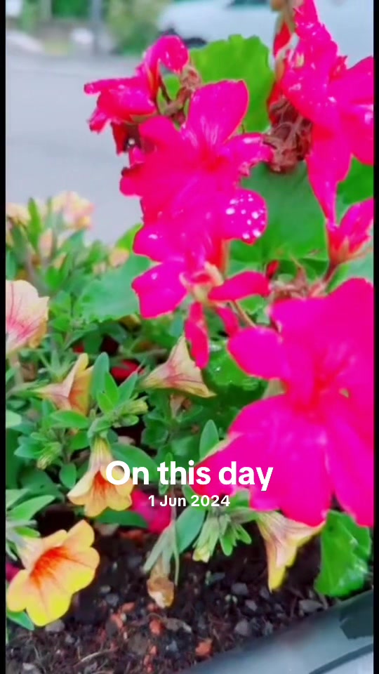@๐๐๐ฃ๐๐ โ๐๐๐๐๐๐