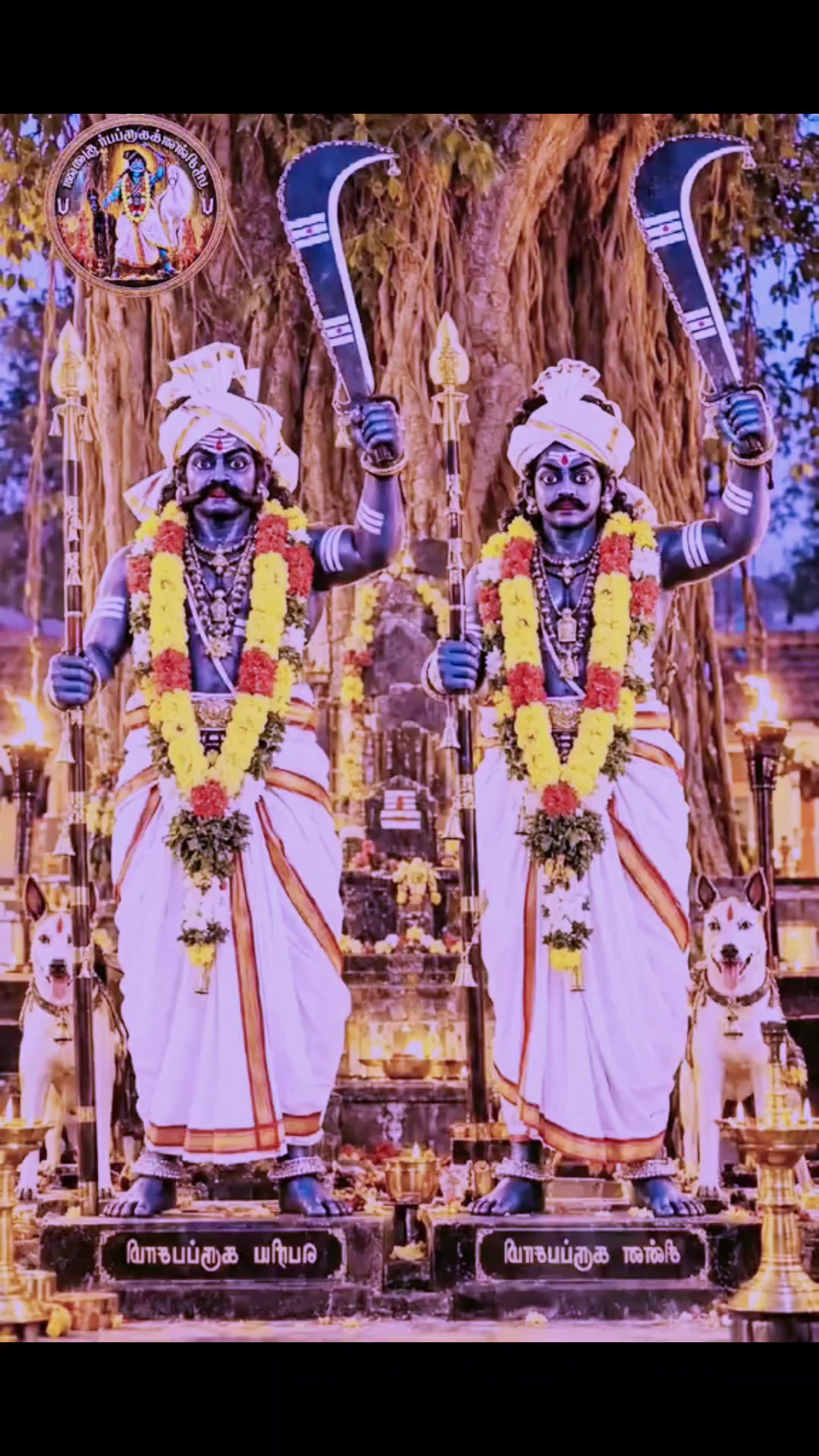 @💛💚 பாசமுள்ள🏹 பாண்டியரே 💛💚