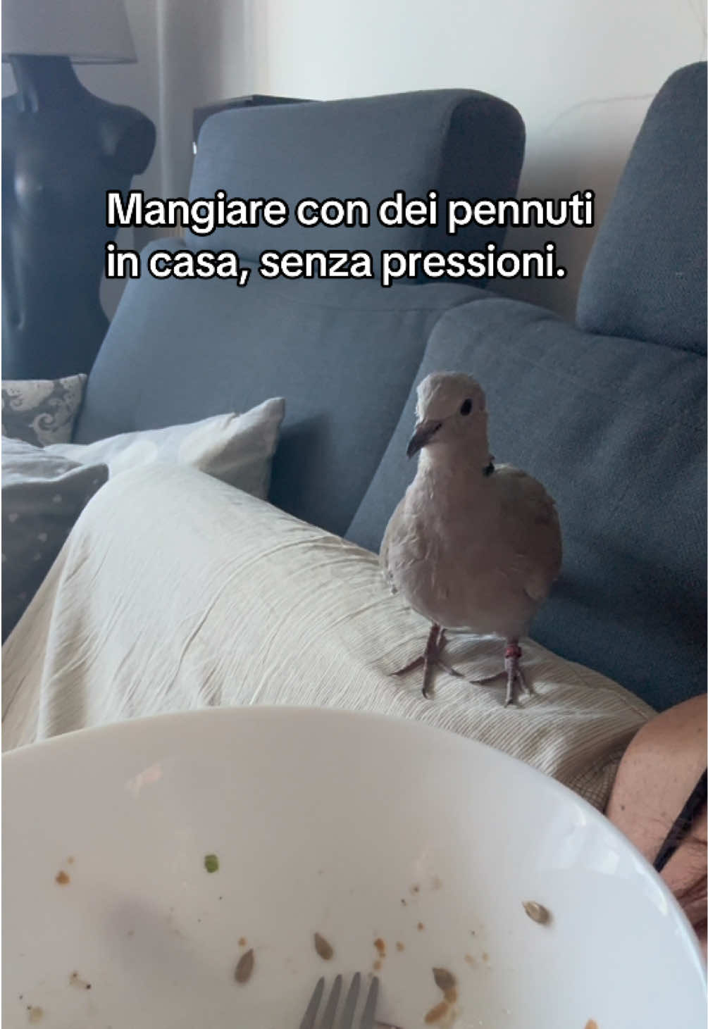 @Eleonora B.