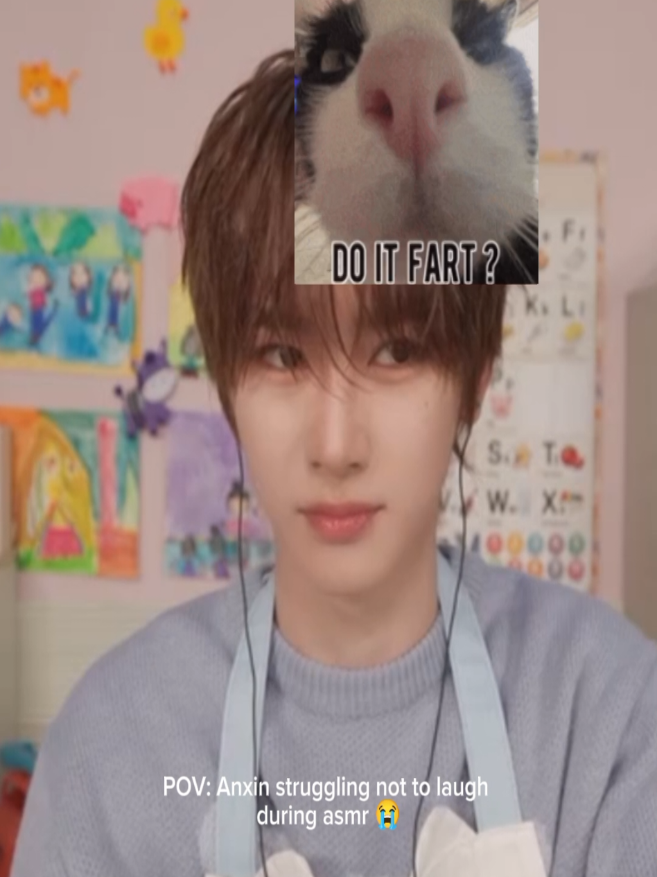 @anxingf😾