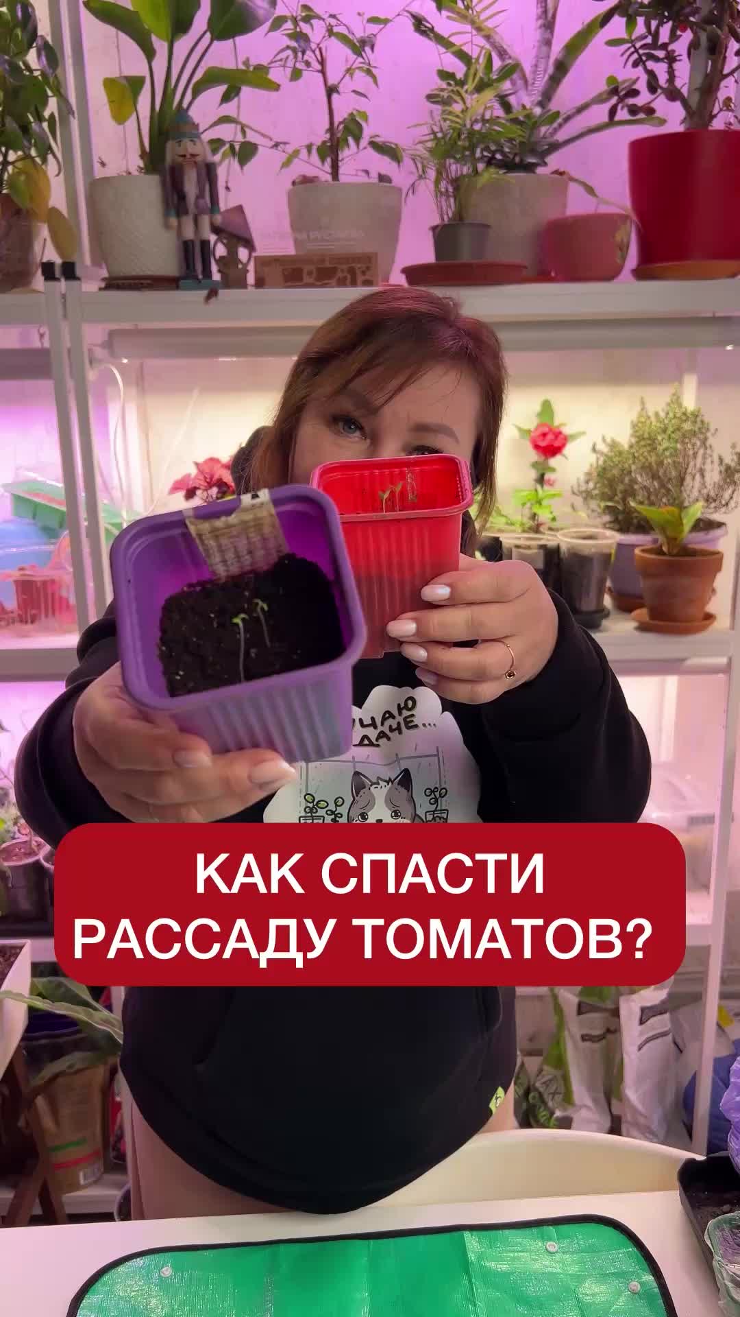 @dom_rustaevy