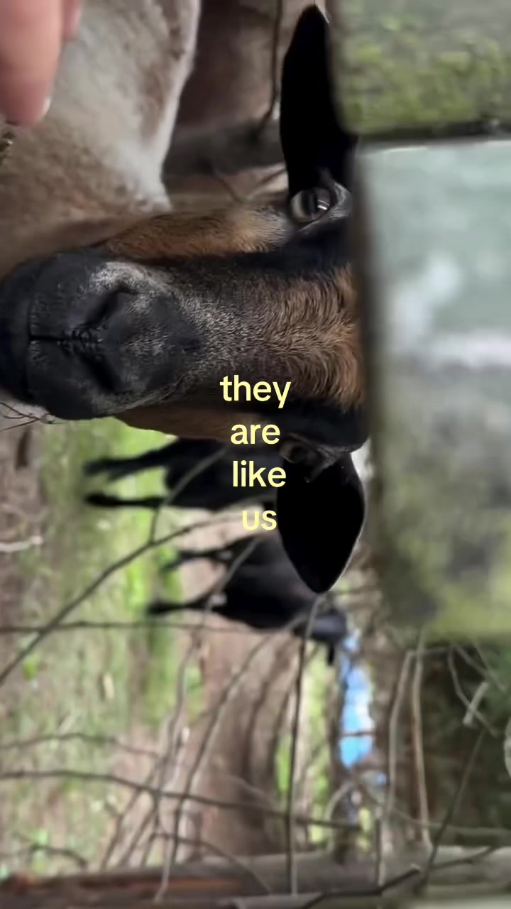 @Nina$