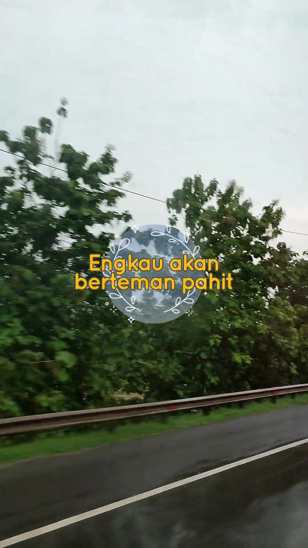@xels ๐ผ