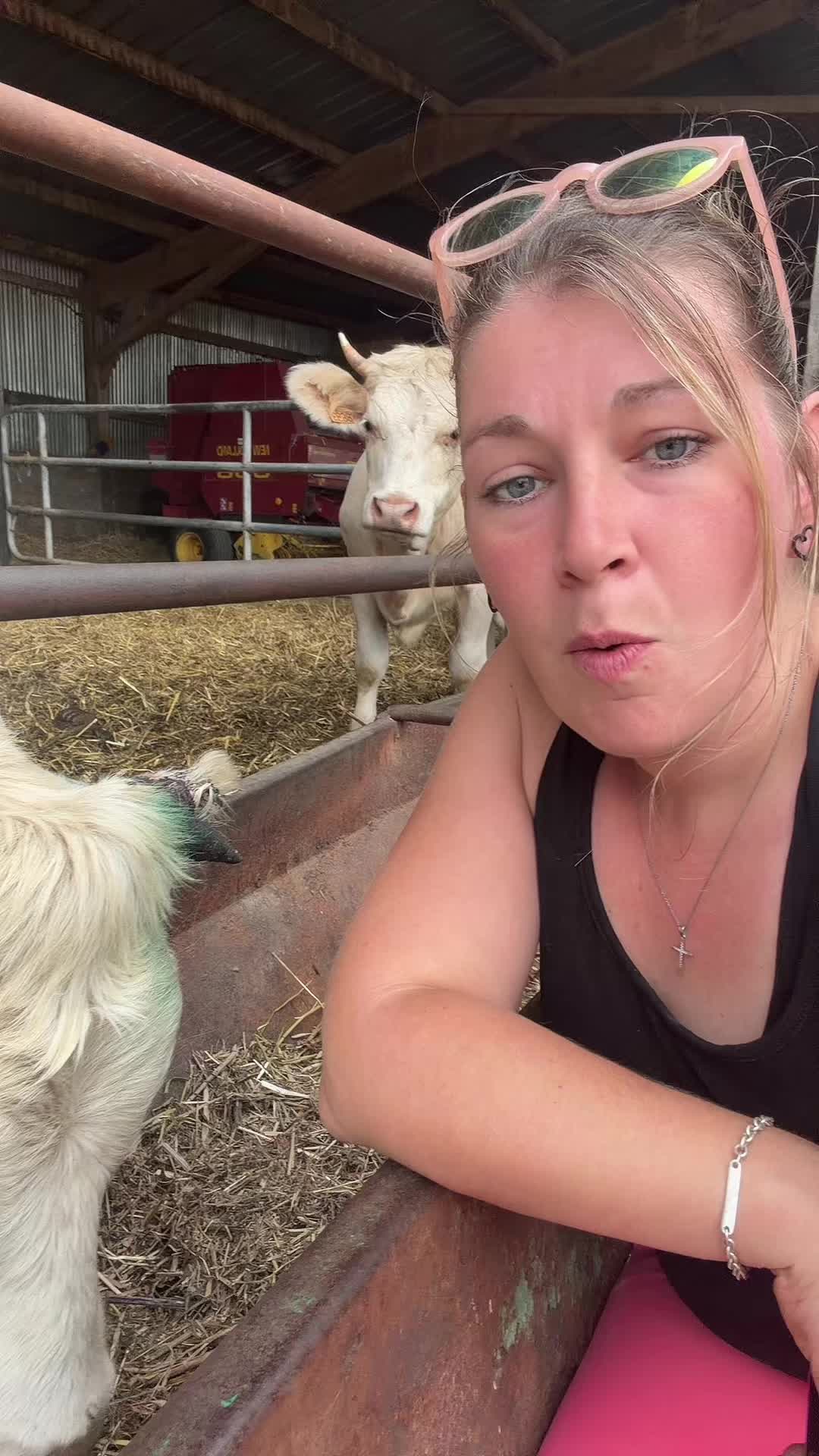 @ᏦᎥᎥᏦᏗᏗ 🌾🚜🐮
