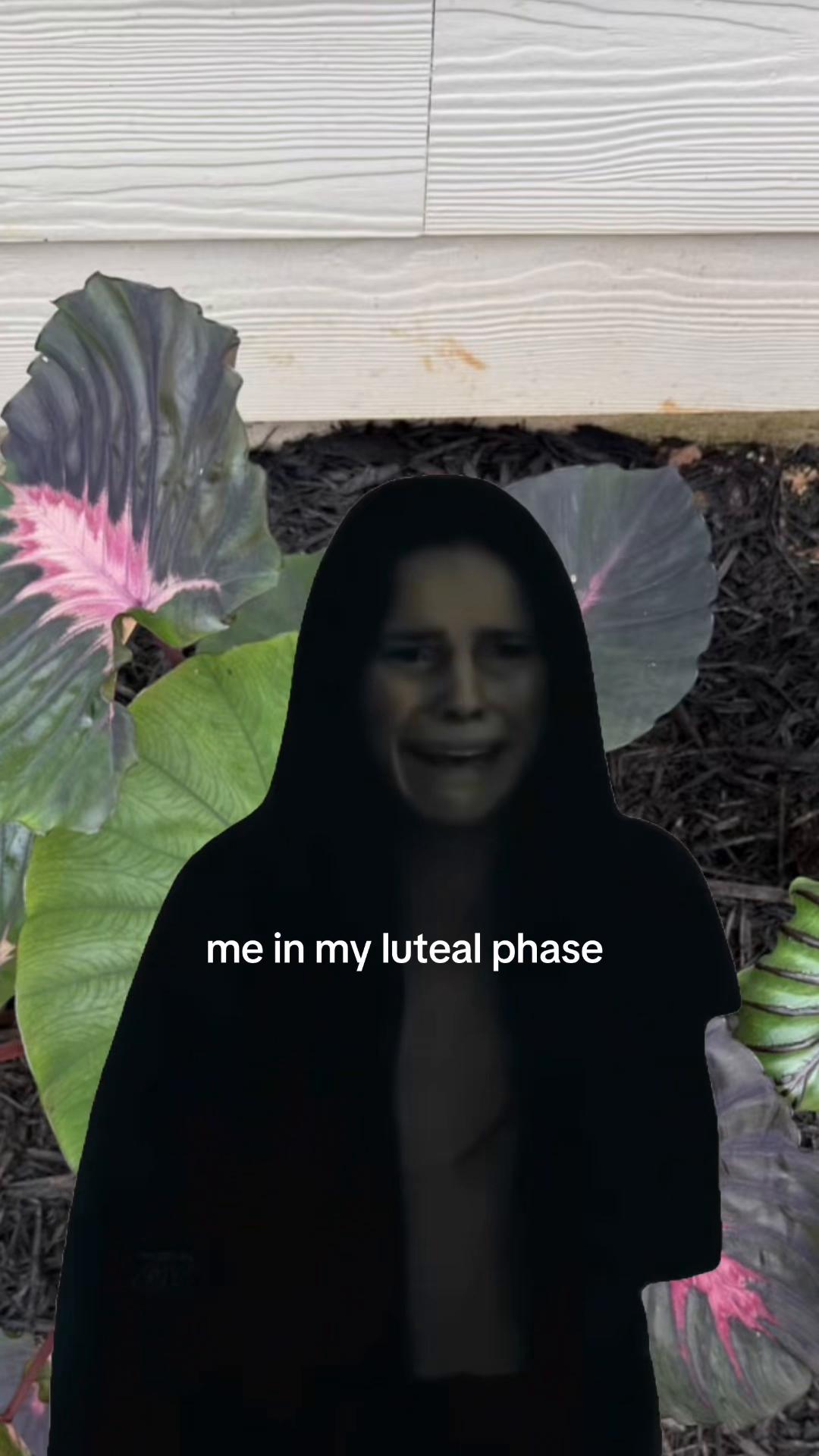 @🕸️nikki🕸️