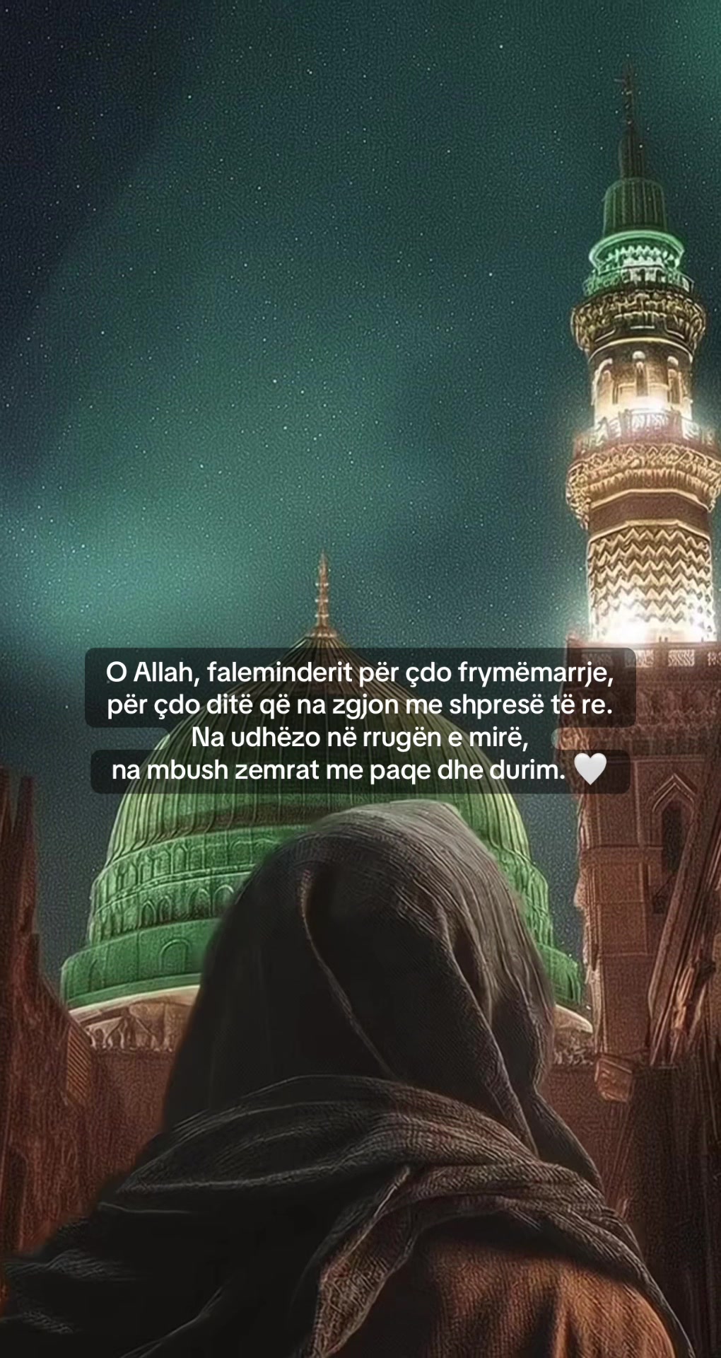 @fjaleza
