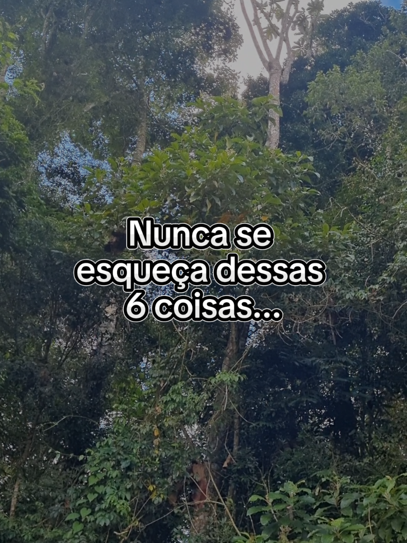@ELA NO TATAME