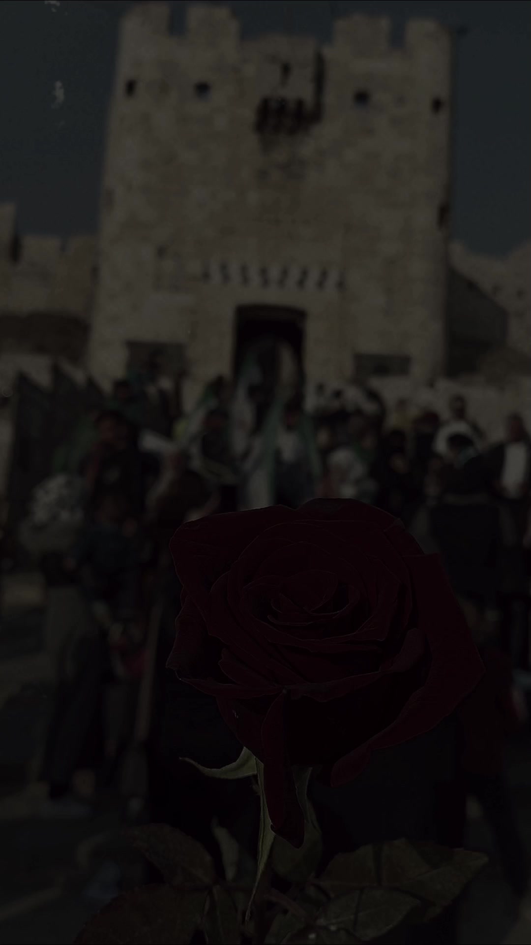 @آمـۦـَِيِࢪتهٰٰ۬ـۦـَِم🧸⃟҉ـﹻۧ
