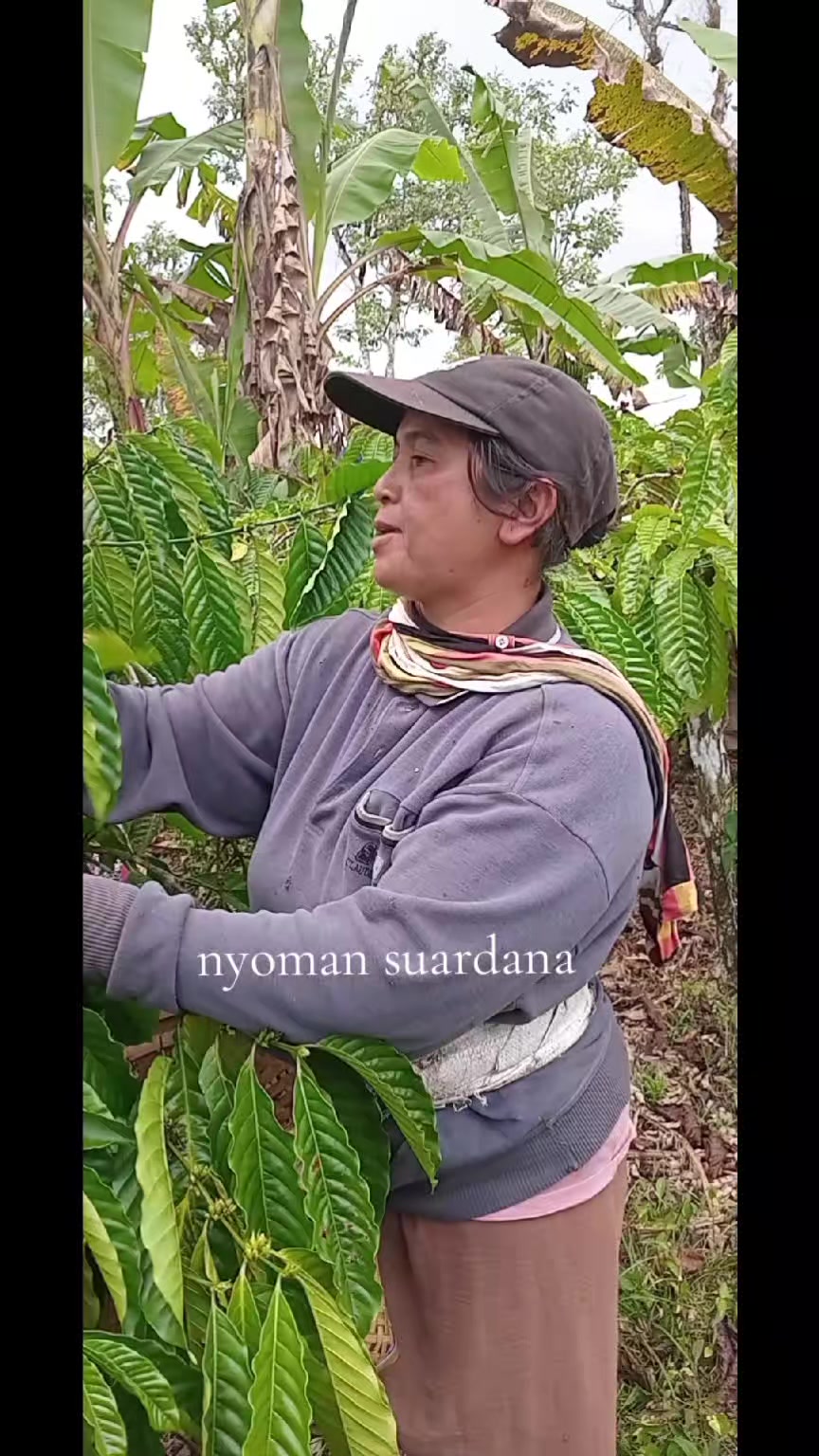 @Nyoman Suardana