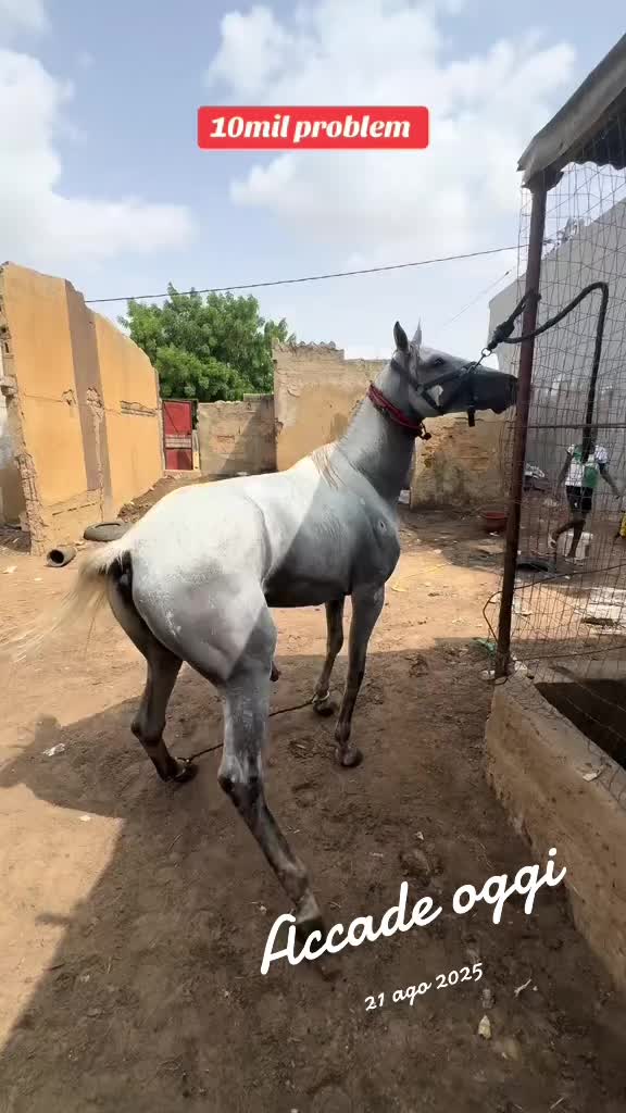 @10milproblem