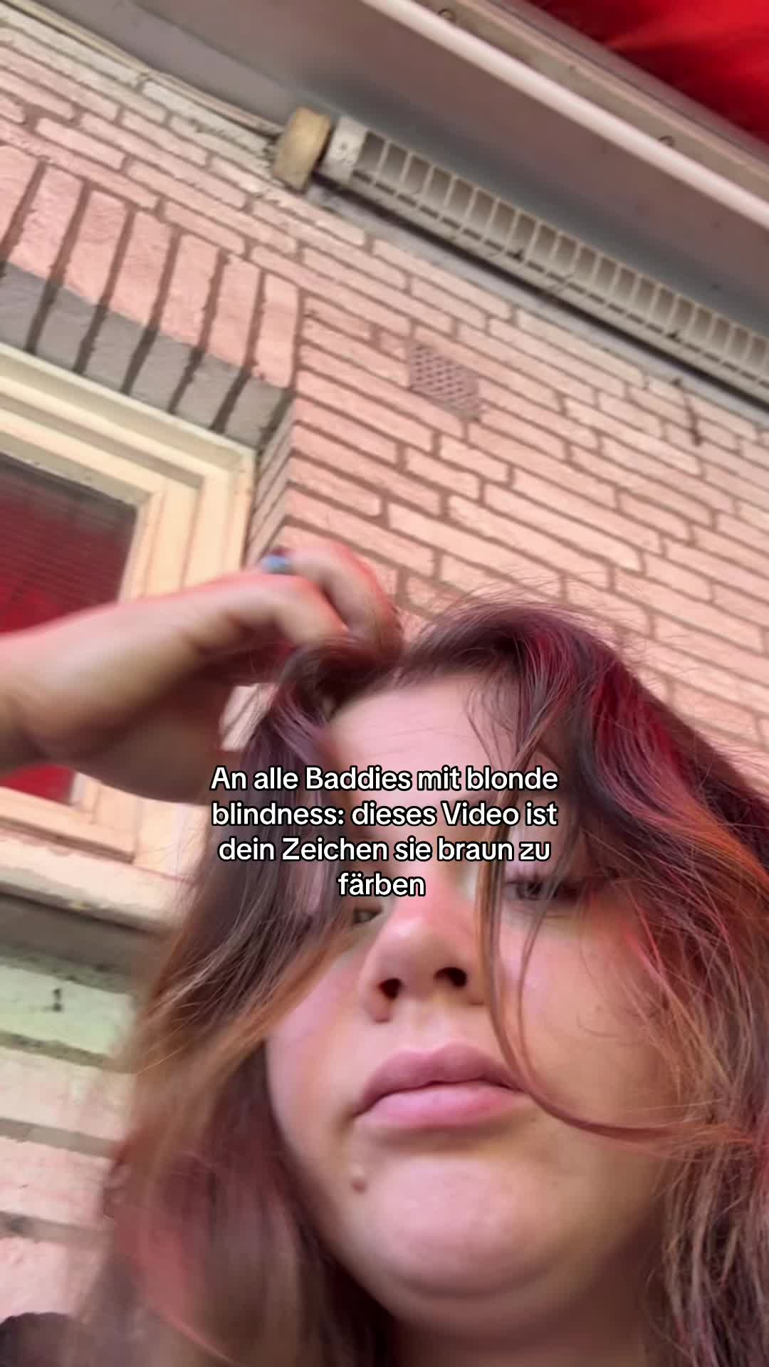 @Sanja Sleipnir