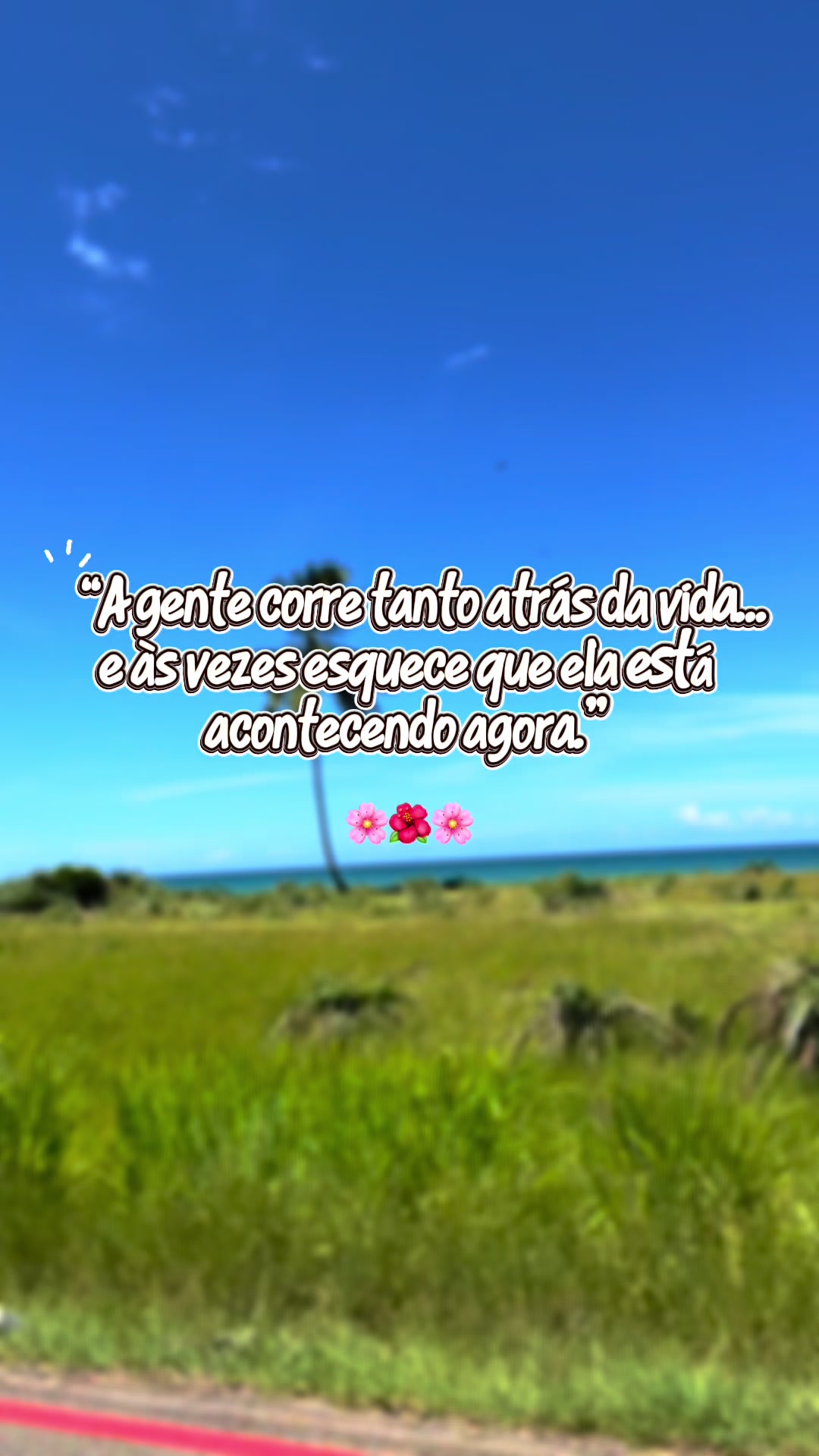 @Rosana Montargil Arg